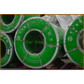 Grade 304 Stainless Steel Coil by Cold Rolled